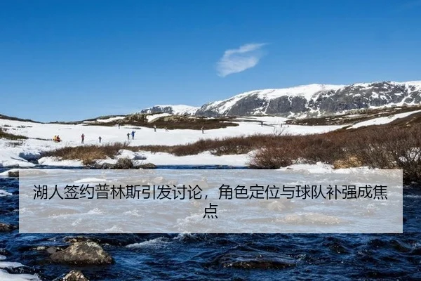 湖人签约普林斯引发讨论，角色定位与球队补强成焦点